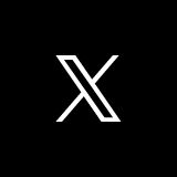 公式X